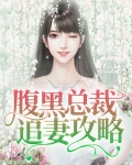 腹黑总裁追妻路 琉璃遗憾