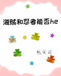在海贼当忍者的小说