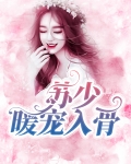苏暖司少修免费阅读