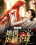 三年后她携宝归来