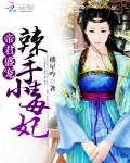 帝君盛宠:辣手小毒妃