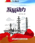 发展动力:西电东送工程开工建设