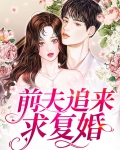 前夫又又又想复婚了哪章追妻