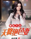 神医下山:天降绝色妻