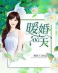 暖婚100天完整版免费阅读