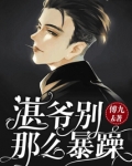 容湛桑夏小说免费阅读全文
