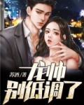龙帅,别低调了! 小说