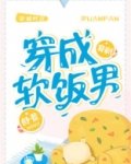 穿成软饭男