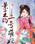 有一个叫景王妃的小说