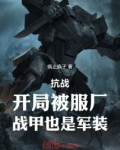 亮剑:开局被服厂,战甲也是军装 疯止疯子