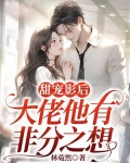 大佬甜蜜宠妻
