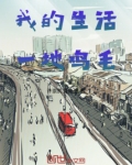 我的生活一地鸡毛却见不得