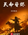 天命皆烬高天