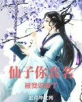 仙子你真名被我识破了小说