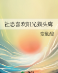 社恐喜欢阳光猫头鹰变