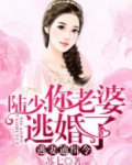 陆先生,你命里缺我 苏七