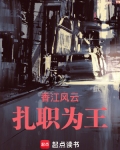 香江风云:扎职为王作者:毕时叁