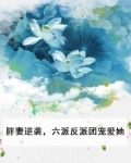 胖妻逆袭,六派反派团宠爱她
