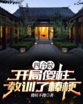 四合院:开局傻柱教训了棒梗!;傻柱不傻