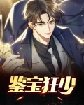 鉴宝灵眼