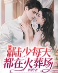 闪婚豪门陆少宠妻请低调全文免费阅读