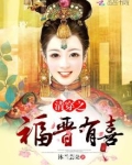 清穿之福晋有喜拂瑶