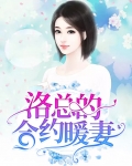 骆总的合约暖妻洛寒商