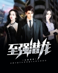 潜龙至尊小说免费阅读毕