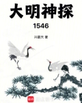 大明神探1546