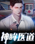 神眸医道 小说