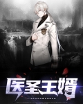 医圣王婿
