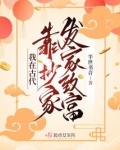 我在古代靠抄家发家致富uc网