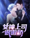 傲娇上司有点冷免费阅读