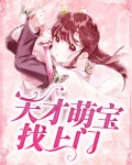 天才萌宝找上门他后