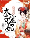 清穿之太子宠妃 小说