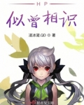 HP似曾相识