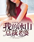 我的冰山总裁老婆免费阅读全文