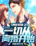 神医奶爸打怪一刀999小说