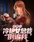 离婚后,冷艳女总裁倒追我
