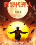 恩怨代理人TXT