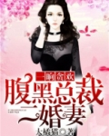 一晌贪欢:腹黑总裁二婚妻