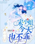 宋小姐每天都在闹小说
