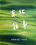 东北往事之黑道风云全集免费观看