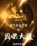 诸天多元宇宙证因果大道道演天地