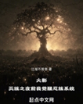 火影：灭族之夜前我觉醒忍族系统