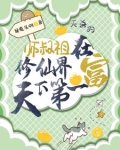 师叔祖在修仙界天下第一富
