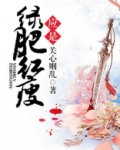 知否？知否？应是绿肥红瘦（网文版）