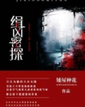 缉凶密探 小说