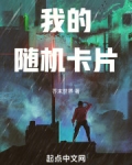 我的随机卡片在哪里