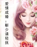 爱情成婚：靳少请轻抚